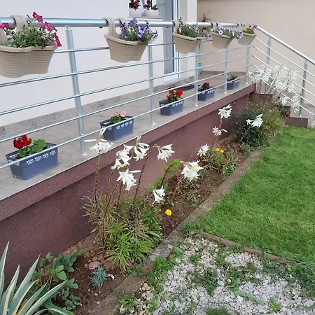 公寓 Komfort Full House In Sarajevo 9 Kreveta 1 Bracni *