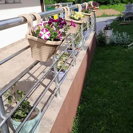 Komfort Full House In Sarajevo 9 Kreveta 1 Bracni Doglodi